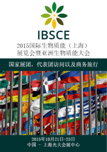 IBSCE_2015_Delegations_CHI